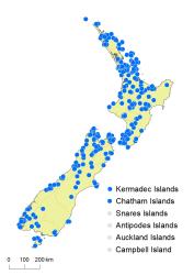 Lycopodium volubile distribution map based on databased records at AK, CHR & WELT.
 Image: K.Boardman © Landcare Research 2019 CC BY 4.0